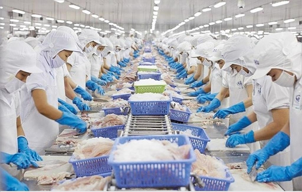 Trung Quốc là thị trường nhập khẩu số 1  đối với cá tra Việt Nam